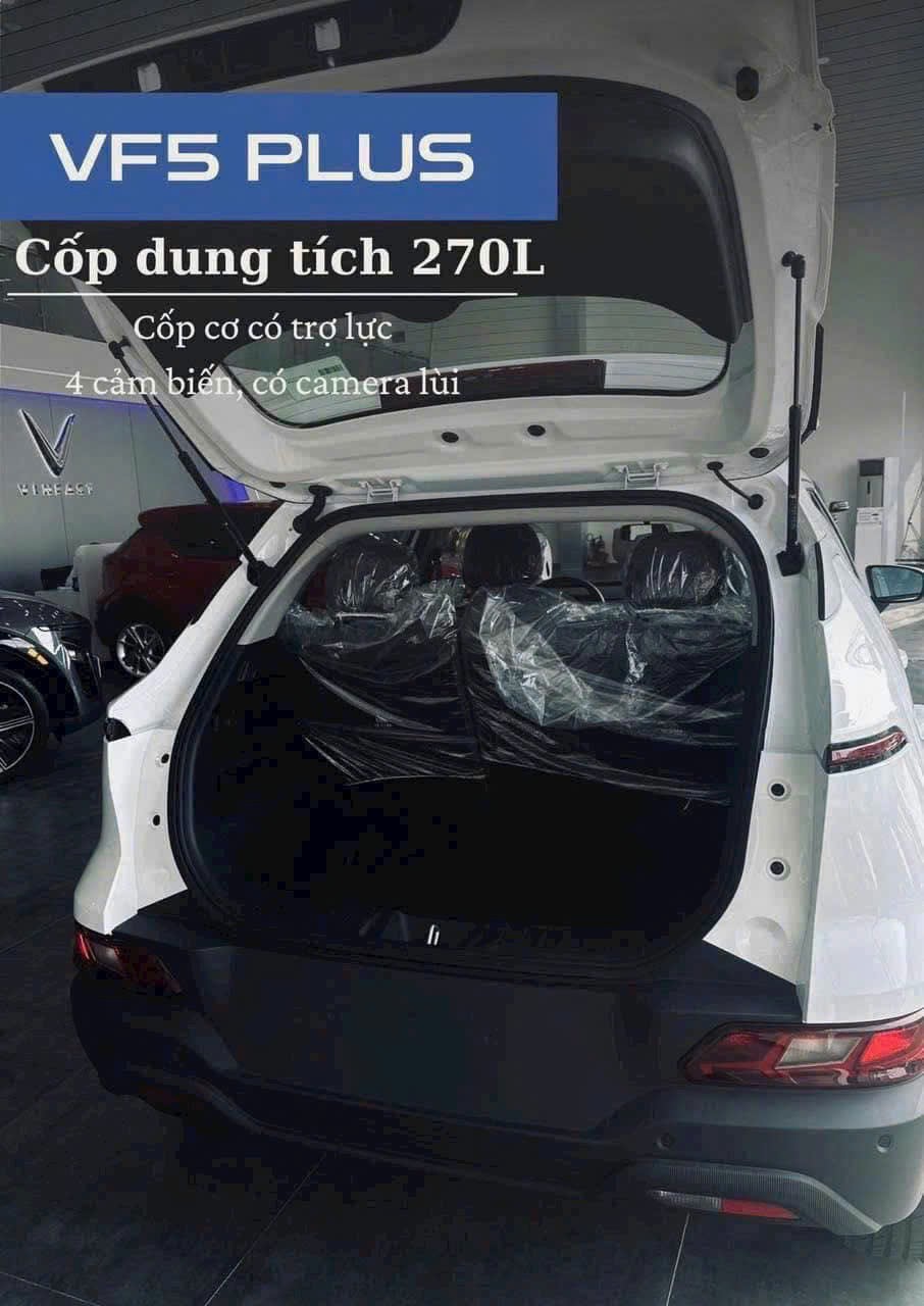 Cốp sau Vinfast Vf5 D1